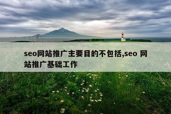 seo网站推广主要目的不包括,seo 网站推广基础工作