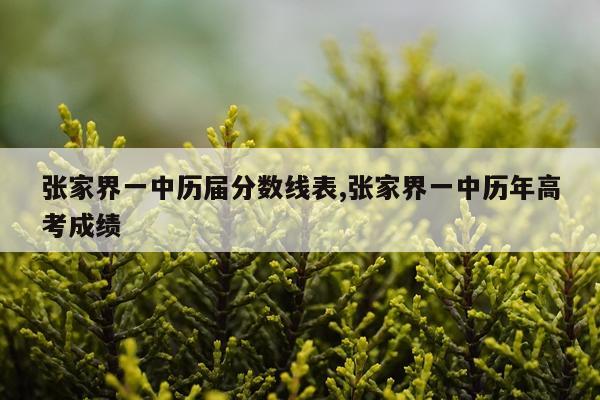 张家界一中历届分数线表,张家界一中历年高考成绩