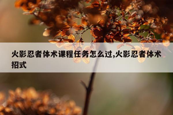 火影忍者体术课程任务怎么过,火影忍者体术招式