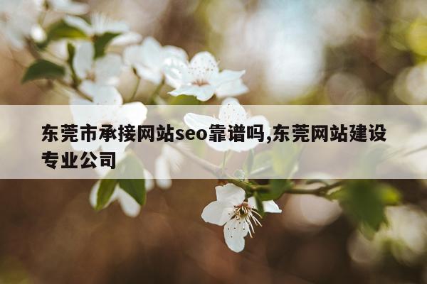 东莞市承接网站seo靠谱吗,东莞网站建设专业公司