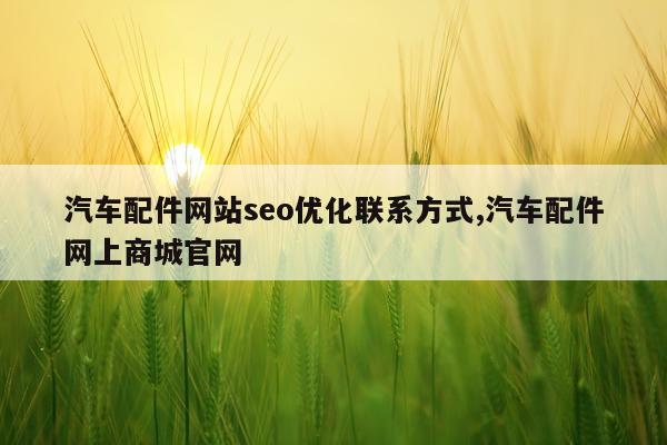 汽车配件网站seo优化联系方式,汽车配件网上商城官网
