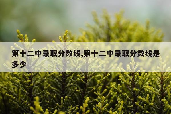 第十二中录取分数线,第十二中录取分数线是多少