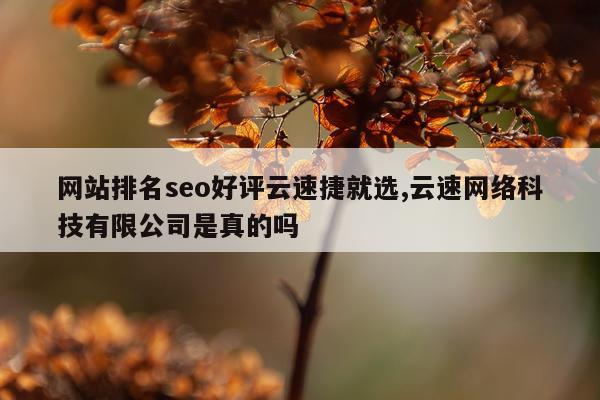 网站排名seo好评云速捷就选,云速网络科技有限公司是真的吗