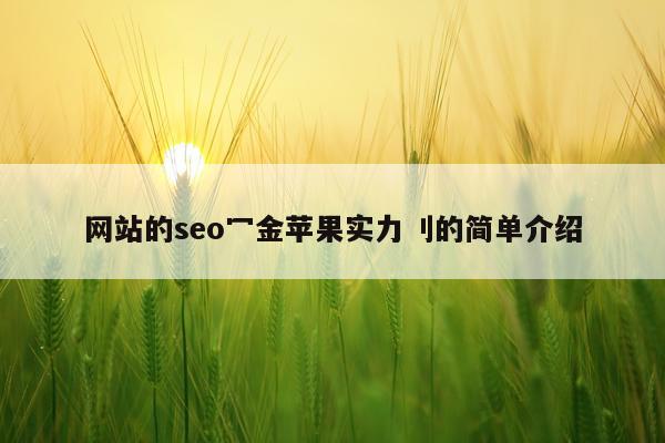 网站的seo冖金苹果实力刂的简单介绍
