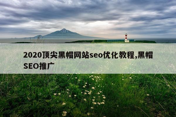 2020顶尖黑帽网站seo优化教程,黑帽SEO推广