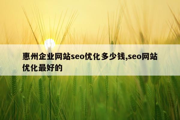 惠州企业网站seo优化多少钱,seo网站优化最好的