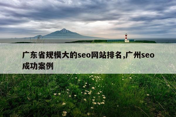 广东省规模大的seo网站排名,广州seo成功案例