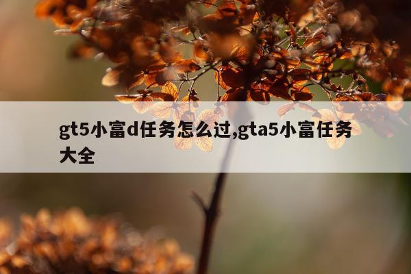 gt5小富d任务怎么过,gta5小富任务大全