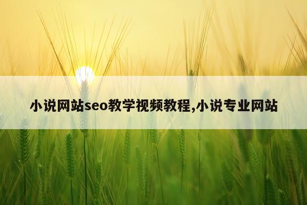 小说网站seo教学视频教程,小说专业网站
