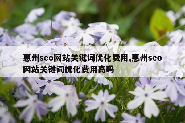 惠州seo网站关键词优化费用,惠州seo网站关键词优化费用高吗