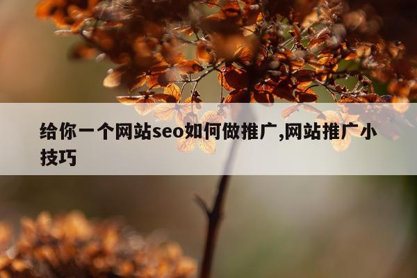 给你一个网站seo如何做推广,网站推广小技巧