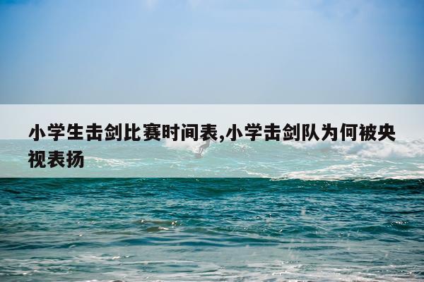 小学生击剑比赛时间表,小学击剑队为何被央视表扬