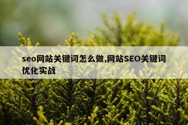 seo网站关键词怎么做,网站SEO关键词优化实战
