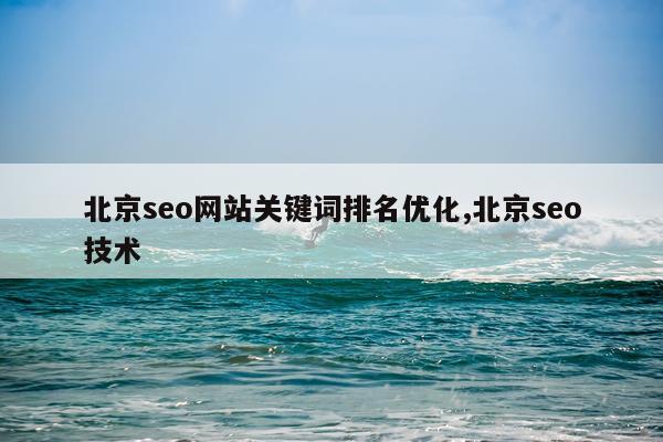 北京seo网站关键词排名优化,北京seo技术