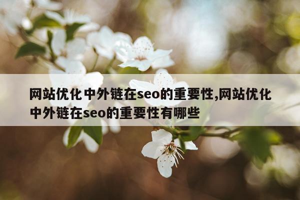网站优化中外链在seo的重要性,网站优化中外链在seo的重要性有哪些