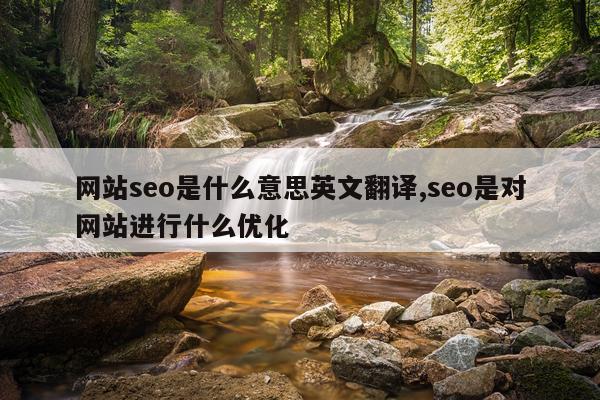 网站seo是什么意思英文翻译,seo是对网站进行什么优化