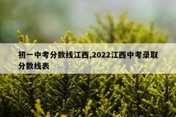 初一中考分数线江西,2022江西中考录取分数线表