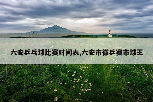 六安乒乓球比赛时间表,六安市徽乒赛市球王