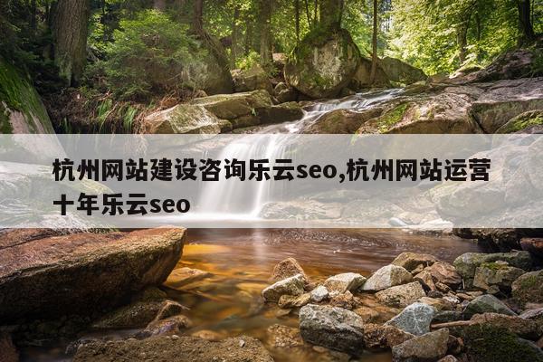 杭州网站建设咨询乐云seo,杭州网站运营十年乐云seo