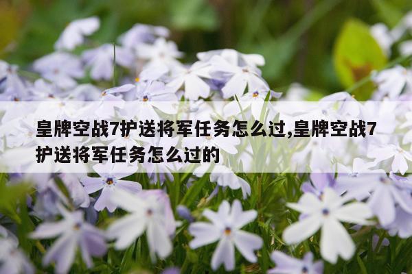 皇牌空战7护送将军任务怎么过,皇牌空战7护送将军任务怎么过的