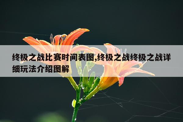 终极之战比赛时间表图,终极之战终极之战详细玩法介绍图解