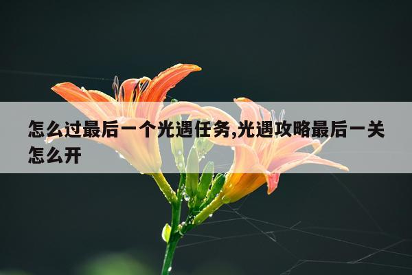 怎么过最后一个光遇任务,光遇攻略最后一关怎么开