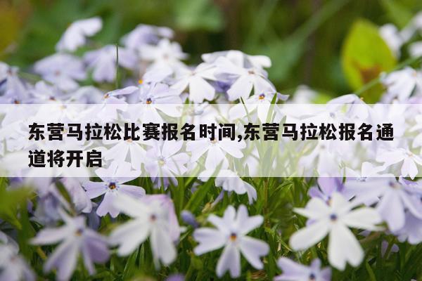 东营马拉松比赛报名时间,东营马拉松报名通道将开启