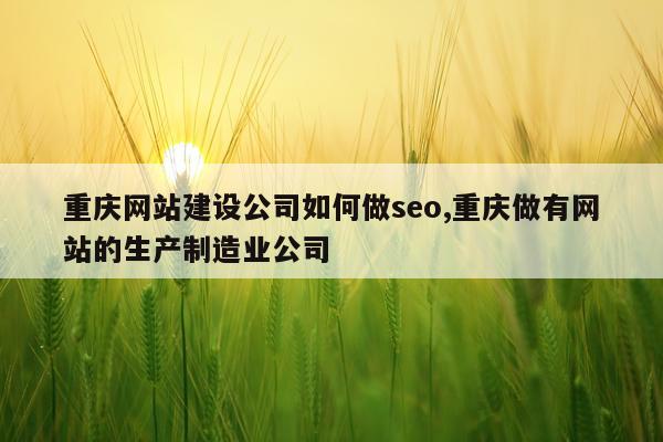 重庆网站建设公司如何做seo,重庆做有网站的生产制造业公司