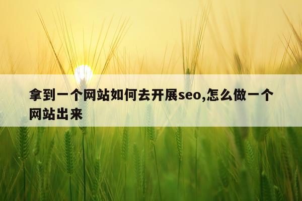 拿到一个网站如何去开展seo,怎么做一个网站出来