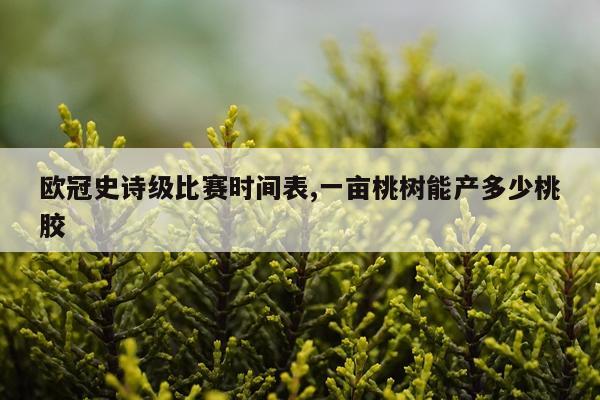 欧冠史诗级比赛时间表,一亩桃树能产多少桃胶