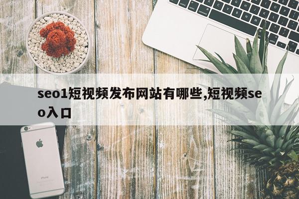 seo1短视频发布网站有哪些,短视频seo入口