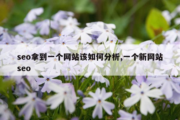 seo拿到一个网站该如何分析,一个新网站seo