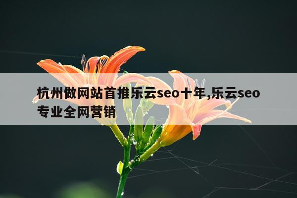 杭州做网站首推乐云seo十年,乐云seo专业全网营销