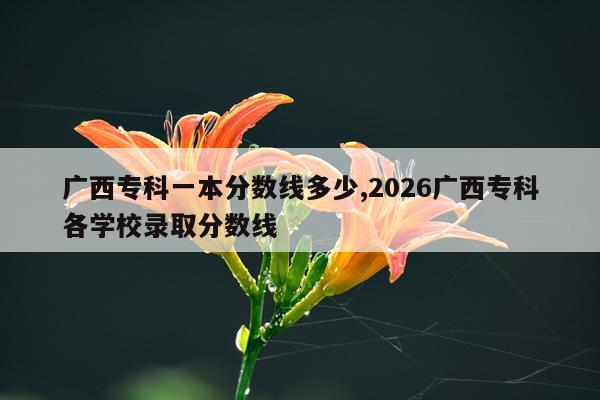 广西专科一本分数线多少,2026广西专科各学校录取分数线