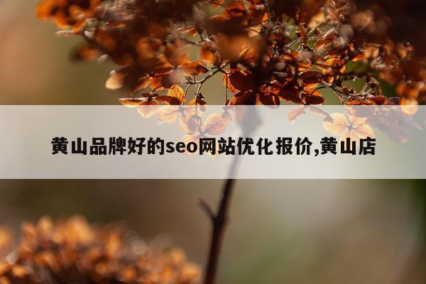 黄山品牌好的seo网站优化报价,黄山店