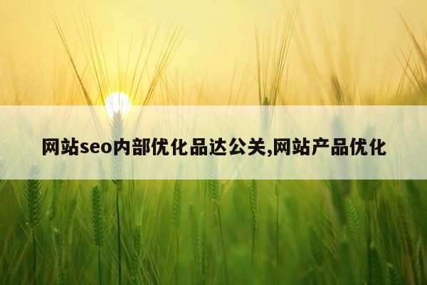 网站seo内部优化品达公关,网站产品优化