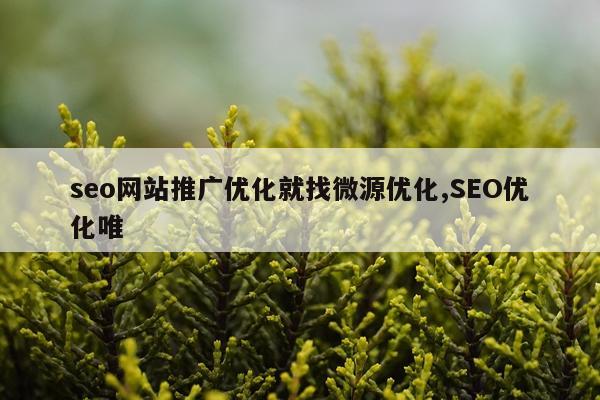 seo网站推广优化就找微源优化,SEO优化唯