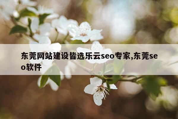 东莞网站建设皆选乐云seo专家,东莞seo软件