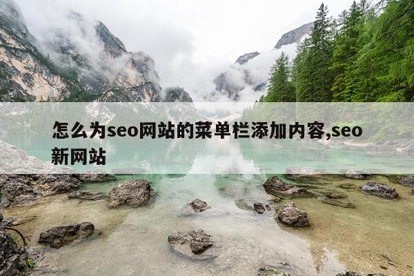 怎么为seo网站的菜单栏添加内容,seo新网站