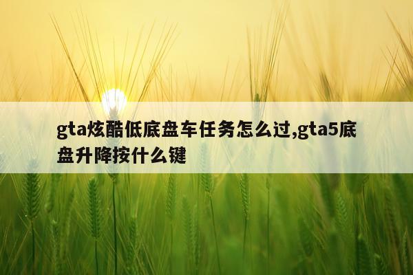 gta炫酷低底盘车任务怎么过,gta5底盘升降按什么键