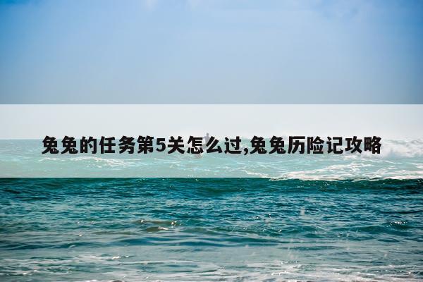 兔兔的任务第5关怎么过,兔兔历险记攻略