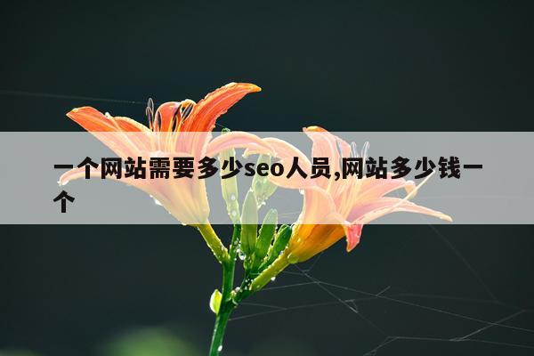 一个网站需要多少seo人员,网站多少钱一个