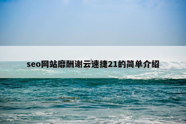 seo网站靡酬谢云速捷21的简单介绍