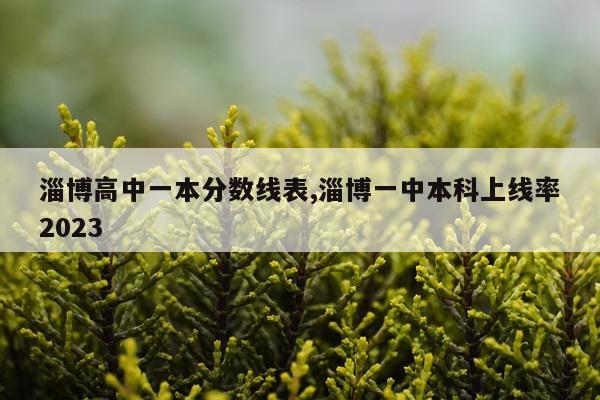 淄博高中一本分数线表,淄博一中本科上线率2023