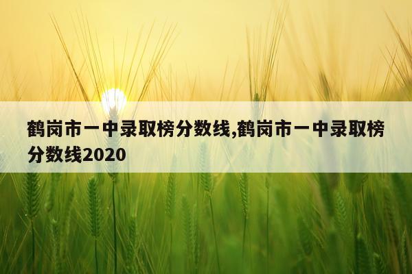 鹤岗市一中录取榜分数线,鹤岗市一中录取榜分数线2020