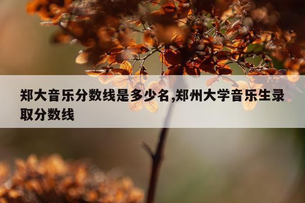 郑大音乐分数线是多少名,郑州大学音乐生录取分数线