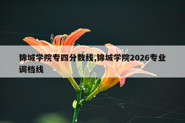 锦城学院专四分数线,锦城学院2026专业调档线