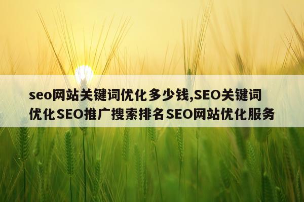 seo网站关键词优化多少钱,SEO关键词优化SEO推广搜索排名SEO网站优化服务