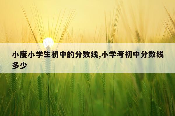 小度小学生初中的分数线,小学考初中分数线多少