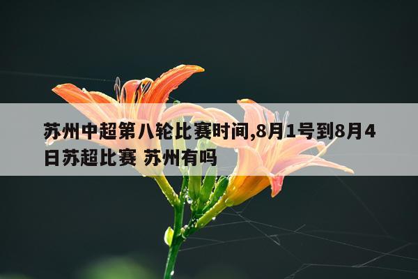 苏州中超第八轮比赛时间,8月1号到8月4日苏超比赛 苏州有吗